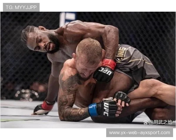 UFC格斗双方互殴到裁判喊停——激烈对抗中的无情制裁