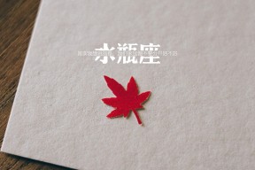 AYX GAME-张雨霏强项出击 中国接力蝶泳段领先，张雨霏晋级蝶泳决赛