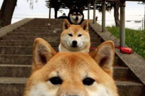 AYX官网-中国男篮积极引进国际先进训练理念，中国男篮邀请制