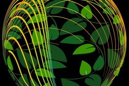 爱游戏官方网站-英超球队在不同气候环境下跑动分布与热区变化对比研究，英超球队对应城市
