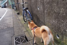 AYX体育-Chinese Taipei乒乓战术揭秘：以防守反击为核心，台湾报道乒乓球