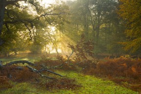 爱游戏-德甲节奏快如闪电：攻守轮换，精彩不停！，德甲最快速度