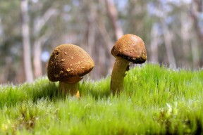 AYX官网-Guglielmino 家庭与比赛兼持成正能量象征