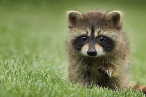 -体育场馆应急疏散演练常态化推进，体育场馆安全预案