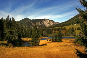 爱游戏在线登录入口-皮特·库策稳定发挥赢得观众喝彩，皮特库宁汉