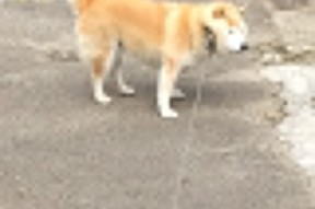 AYX GAME-“2025世界运动会：成都三叉湖滚球赛成焦点赛事”