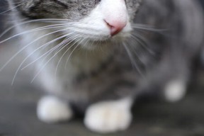 爱游戏体育官方网站-国王组织观影活动增强团队交流，国王组织观影活动增强团队交流能力