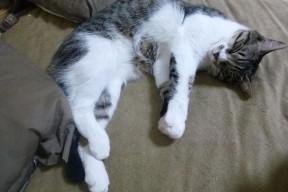 爱游戏娱乐网址-球员间配合默契，场上协同效率高，球队默契怎么提高