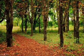 爱游戏登录入口-国家队心理素质训练资源严重不足，国家队心理素质训练资源严重不足的原因