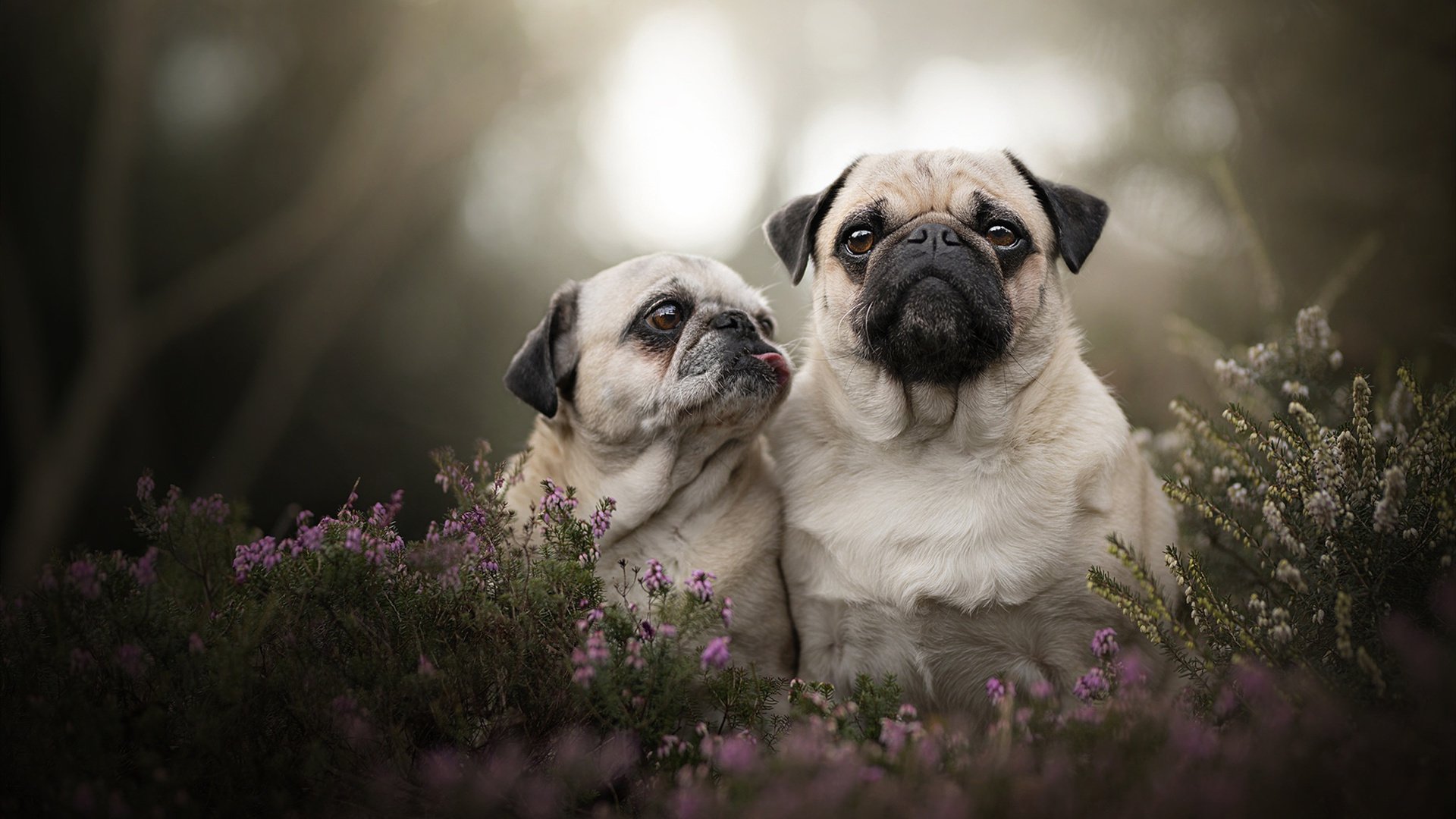 世界杯首秀经验塑造未来发展挑战,世界杯创新