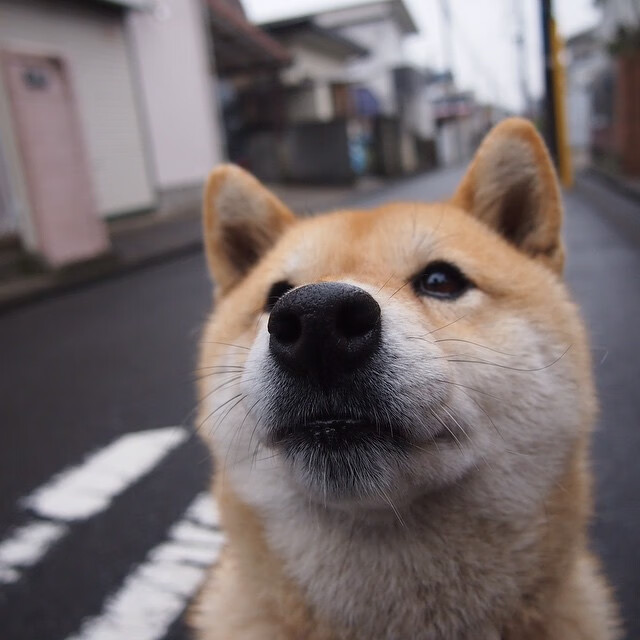 中国三人女篮加强快攻训练 提升得分效率,中国三人女篮规则