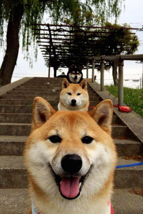 中国男篮积极引进国际先进训练理念，中国男篮邀请制