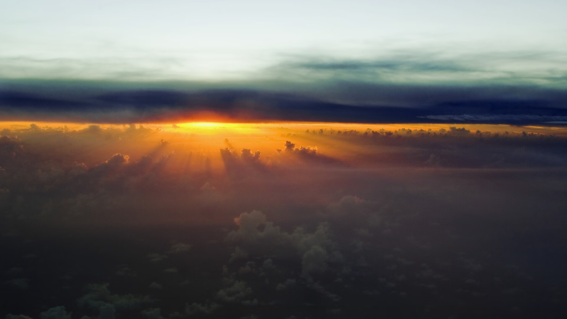 女子100自赛澳洲选手包揽前列,澳洲百米记录