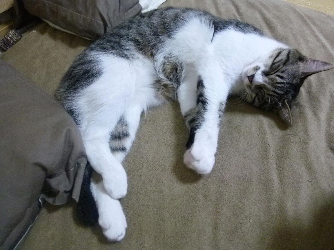 球员间配合默契,场上协同效率高,球队默契怎么提高