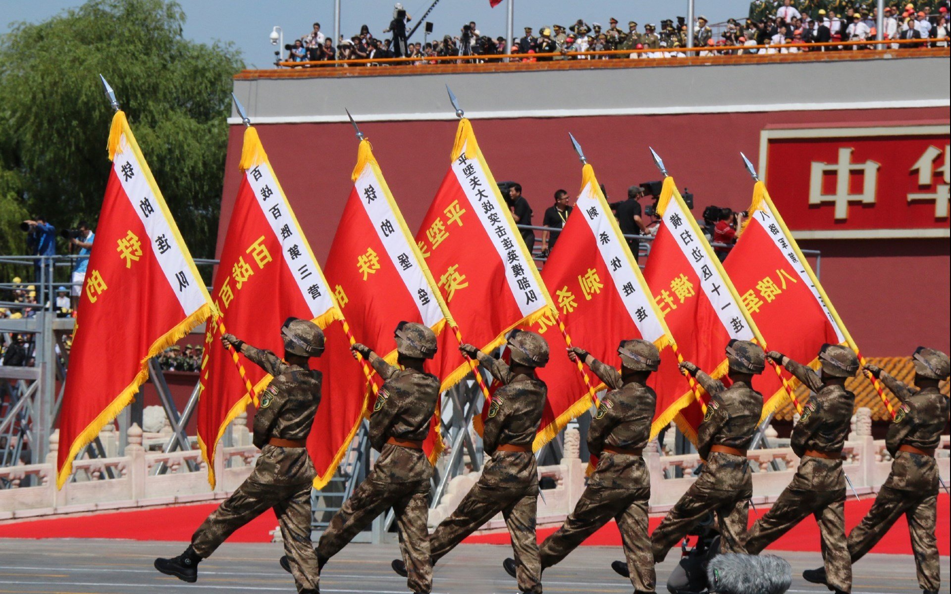 世界杯教练辞职背后原因,足球世界杯教练