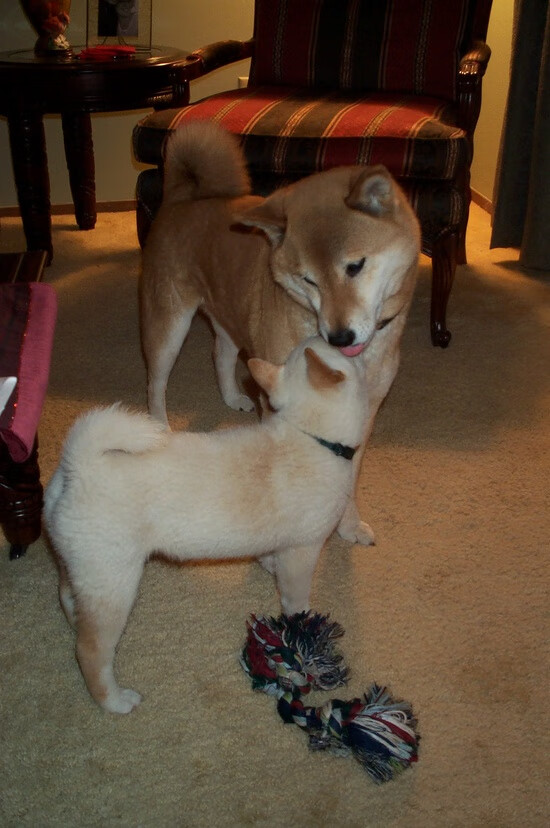 乌拉圭士气高昂,期待在国际舞台发光发热