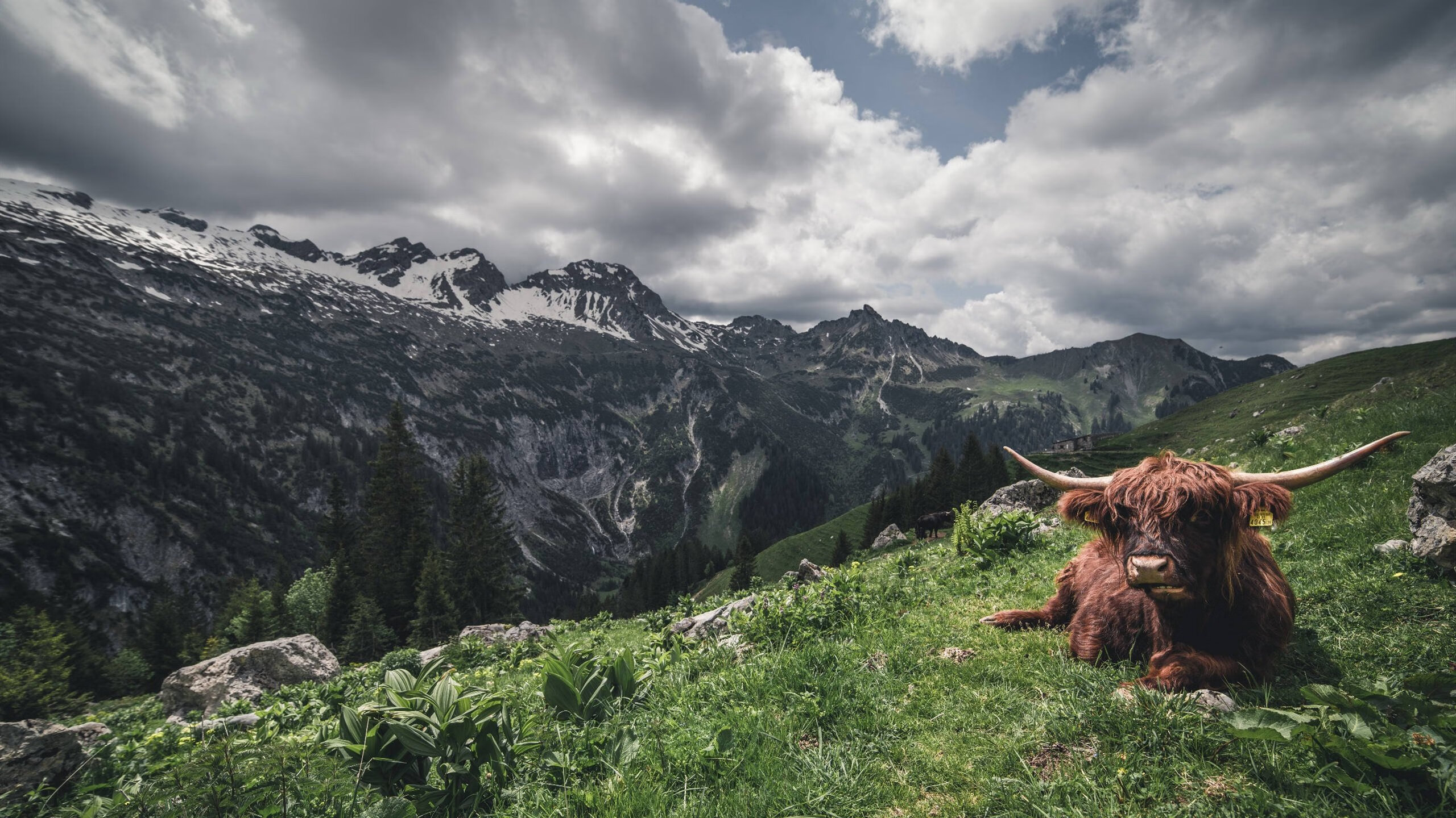 电竞赛事转播画质提升观众体验升级,电竞转播直播平台
