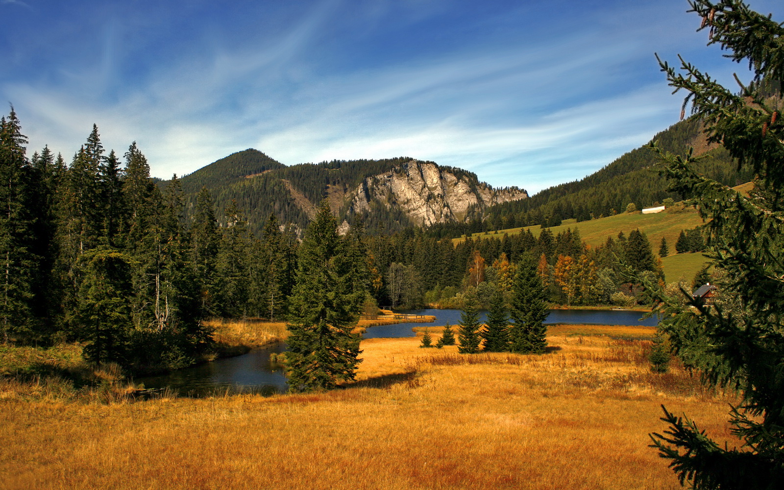 皮特·库策稳定发挥赢得观众喝彩，皮特库宁汉